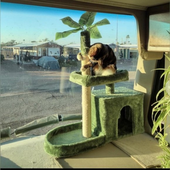 new  Pet Carrier & Cat Tree house bed.  firm price - Picture 1 of 12